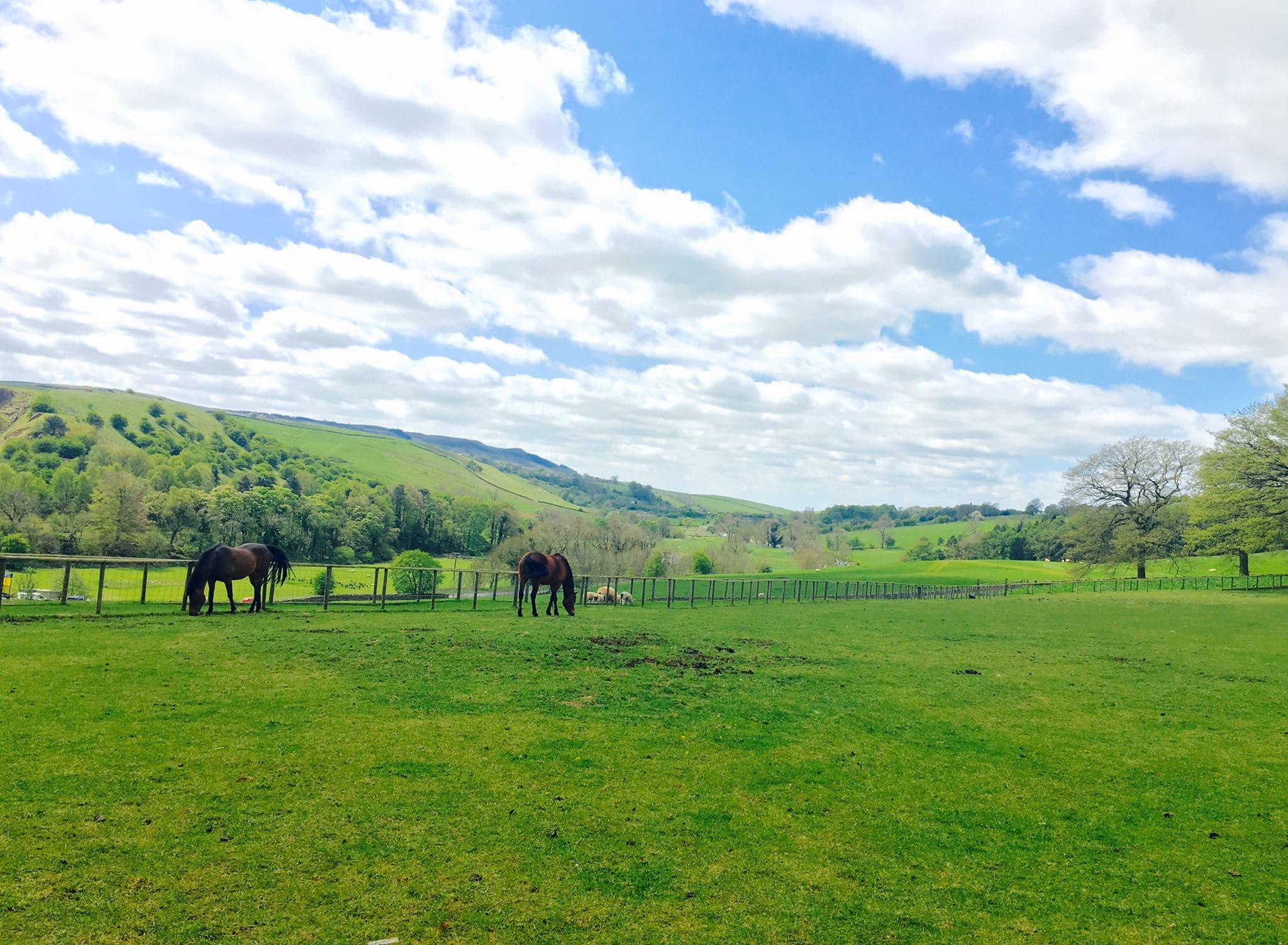 Bradford City View 1